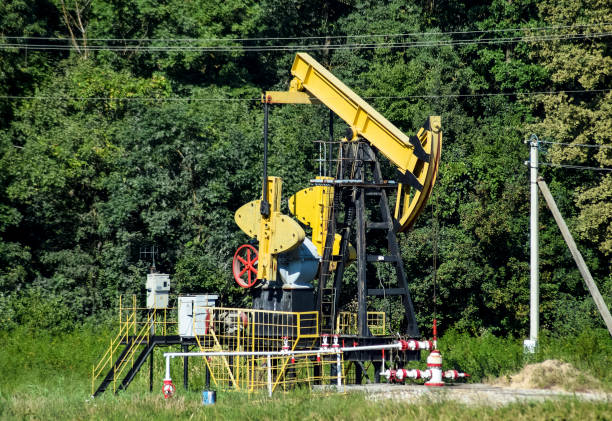 istock Pumping unit as the oil pump installed on a well 892948256
