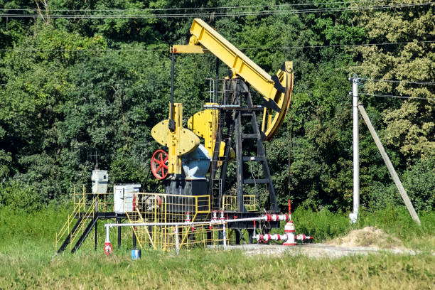 istock Pumping unit as the oil pump installed on a well 892948288