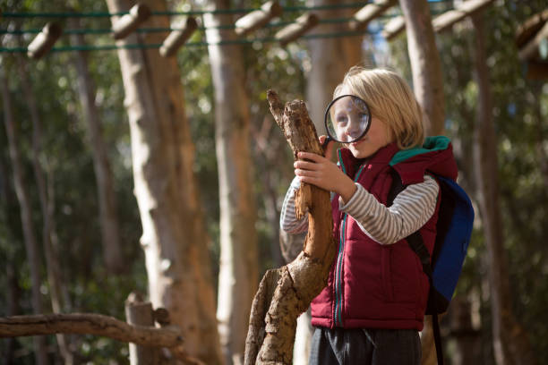 istock Little girl with backpack looking at wood through magnifying glass 892955752