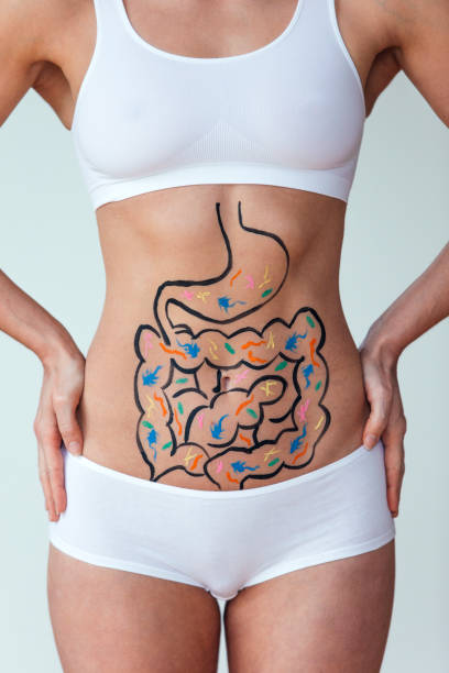 Gluten intolerance and food allergy concept Female with an illustration on her abdomen of intestines with colourful bacteria intestinal tract infection stock pictures, royalty-free photos & images