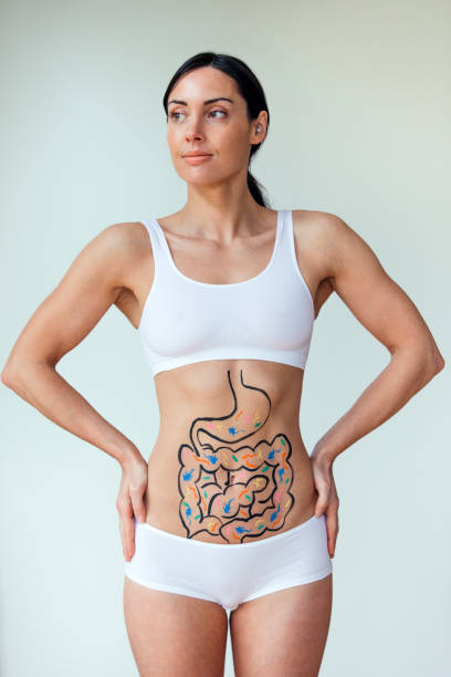 Healthy Digestive Track Female with an illustration on her abdomen of intestines with colourful bacteria stomach cancer stock pictures, royalty-free photos & images