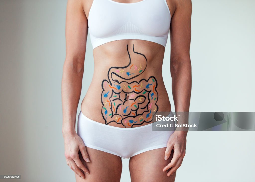 Food Influences Female with an illustration on her abdomen of intestines with colourful bacteria Intestine Stock Photo