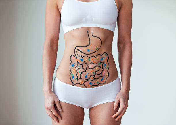 Food Influences Female with an illustration on her abdomen of intestines with colourful bacteria probiotic photos stock pictures, royalty-free photos & images