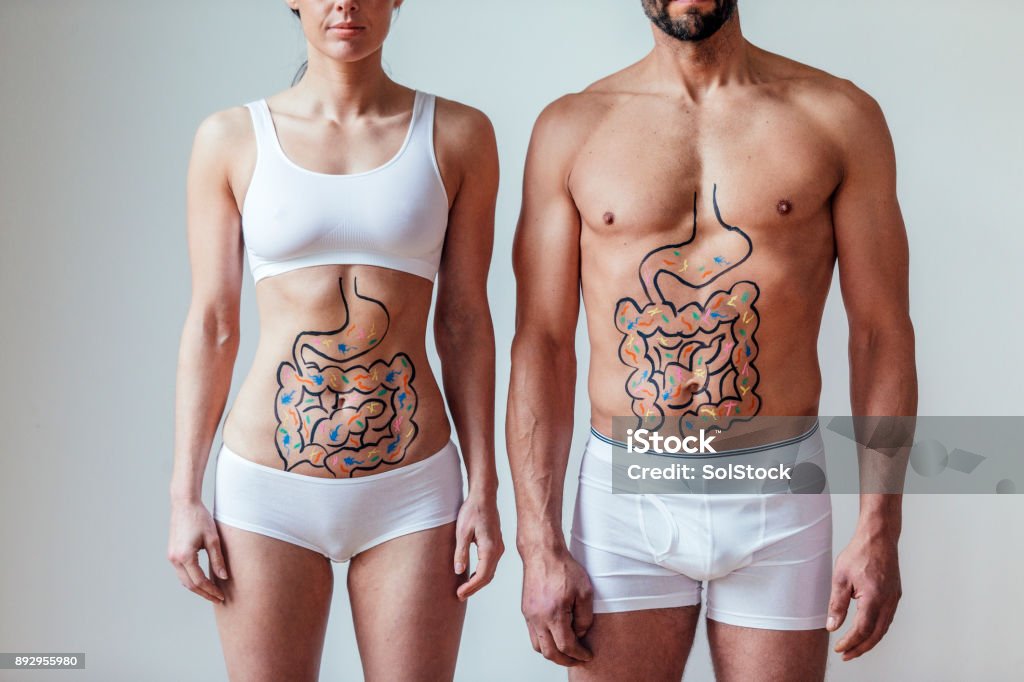 Male and Female Intestinal Health Concept Female and  with an illustration on their abdomen of intestines with colourful bacteria. Beneficial gut microbiome Intestine Stock Photo