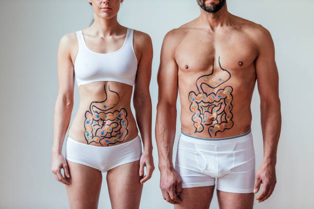 Male and Female Intestinal Health Concept Female and  with an illustration on their abdomen of intestines with colourful bacteria. Beneficial gut microbiome intestinal tract infection stock pictures, royalty-free photos & images