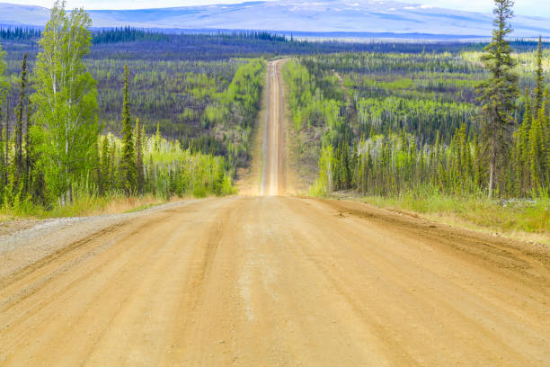 istock The Dalton Highway in Alaska 892960724