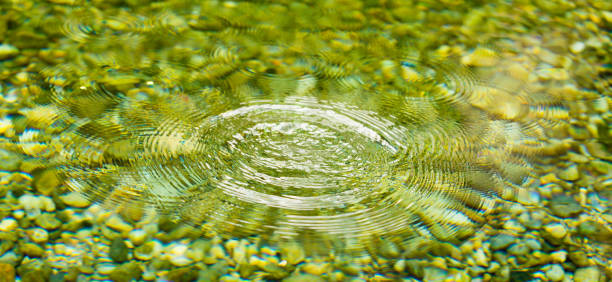 istock Circles on the smooth surface of the water on the river 892974054