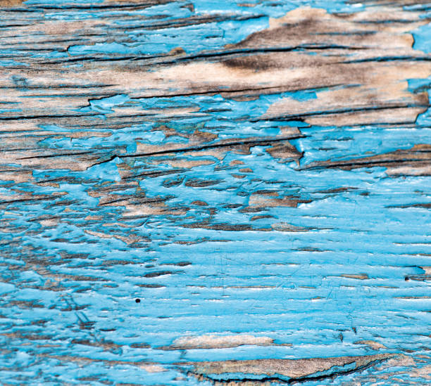 istock old wooden background painted in blue paint 892978362