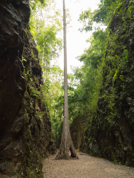 istock Hellfire pass the name of a railway cutting on the former Burma Railway 892979248
