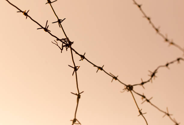 istock barbed wire against the sky at sunset 892985634