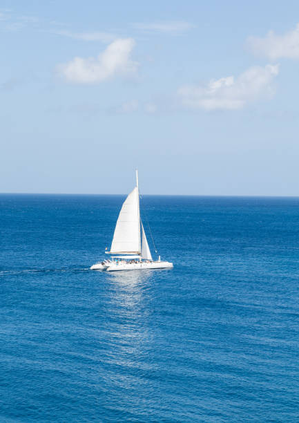 istock White Sailboat on Blue Sea 892999052