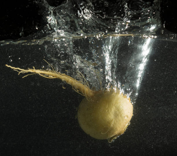istock Turnip in water with splashes on a black background 893001784
