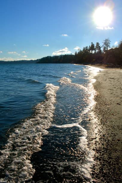 Beachcombing Vancouver Island saanich peninsula photos stock pictures, royalty-free photos & images