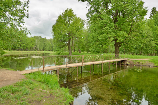 istock Wooden bridge across the river. 893021426