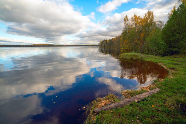 istock On the shore of the lake in the fall. 893042076