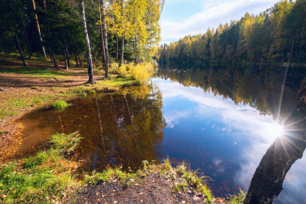 istock The sun reflected in the lake . Autumn landscape 893049632
