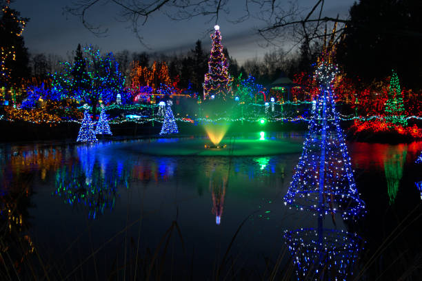 istock Christmas light festival in Canada 893049758