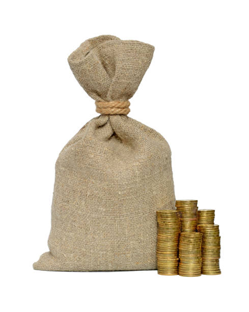 istock Money bag and coins 893049914