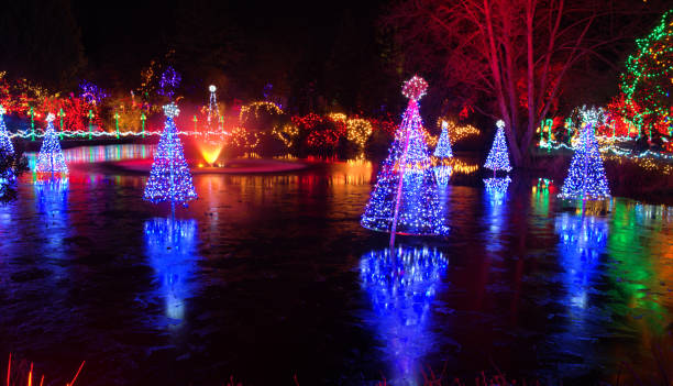 istock Christmas light festival in Canada 893049952