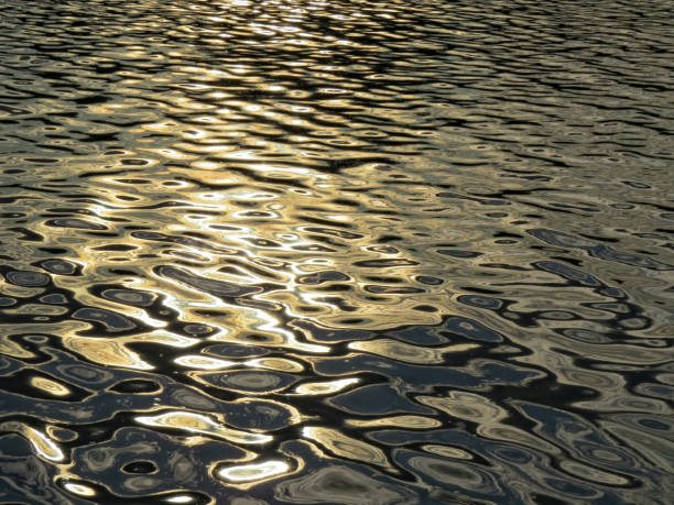 istock reflection on the surface of the lake 893054478