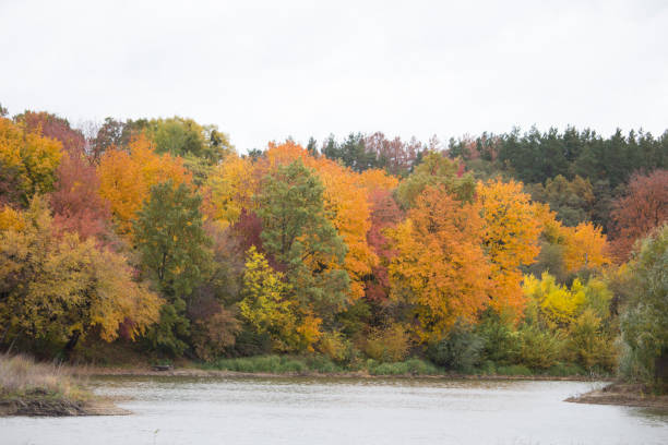 istock colors of autumn 893055008
