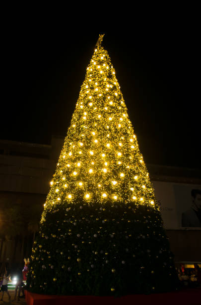 istock Star on Christmas tree,Christmas tree lights reflecting from glass balls and mirror 893055170