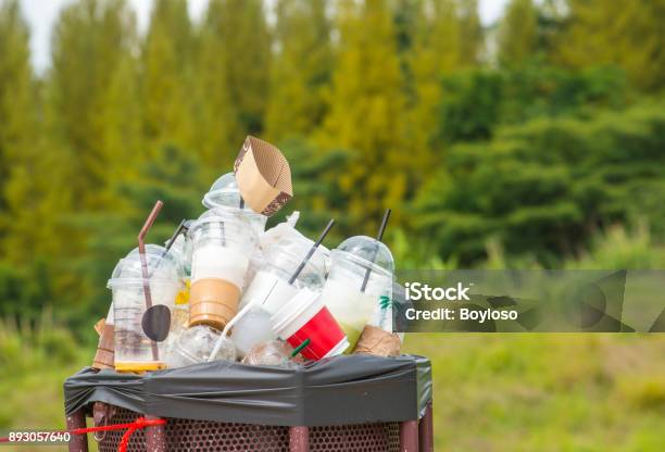 Voller Plastikbecher Im Papierkorb In Der Natur Stockfoto und mehr Bilder von Plastikmaterial - Plastikmaterial, Müll, Trinkglas