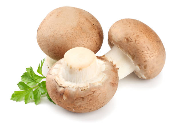 istock Fresh champignon mushrooms with parsley isolated on white background 893058074