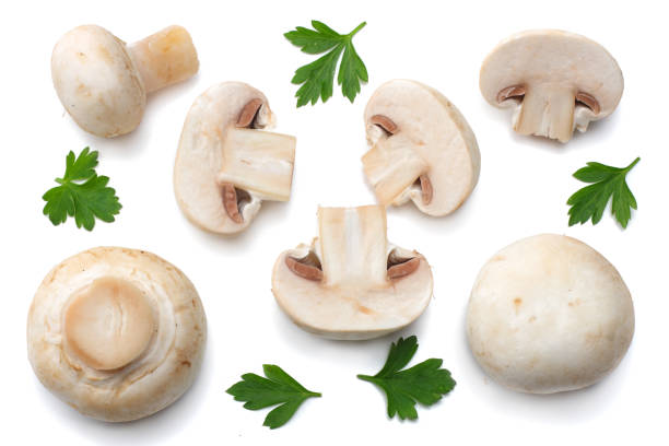 istock mushrooms with parsley isolated on white background. top view 893058128