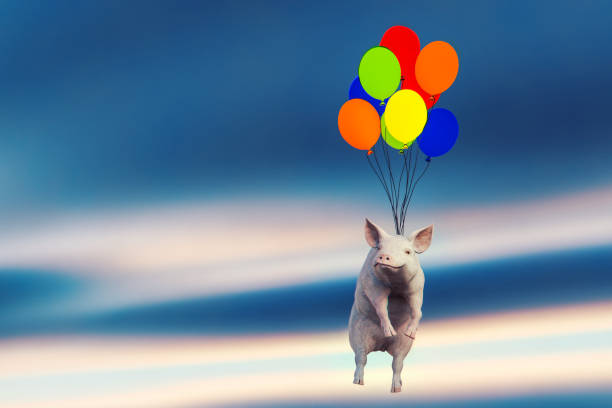 maiale volante felice - when pigs fly foto e immagini stock