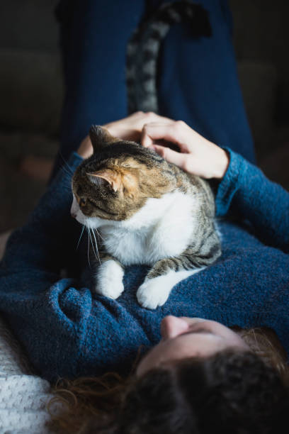 istock Beautiful young girl with her cat 893071118
