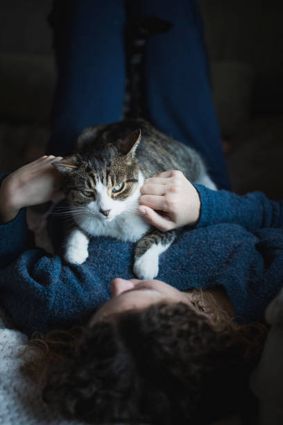 istock Beautiful young girl with her cat 893071154