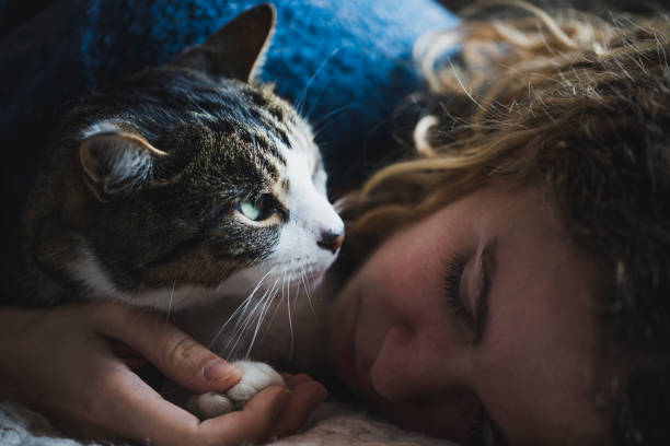 istock Beautiful young girl with her cat 893071206