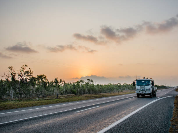 istock cockatoo in queensland, australia 893079482