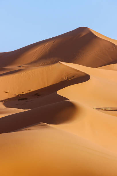 サハラ砂漠の黄金の砂の丘 - desert landscape morocco sand dune ストックフォトと画像