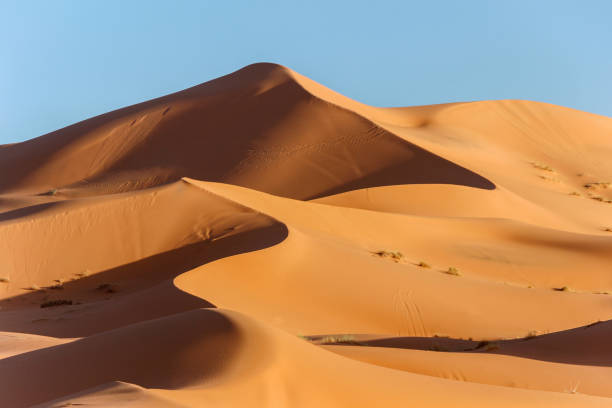 istock golden sand dune in sahara desert 893092434
