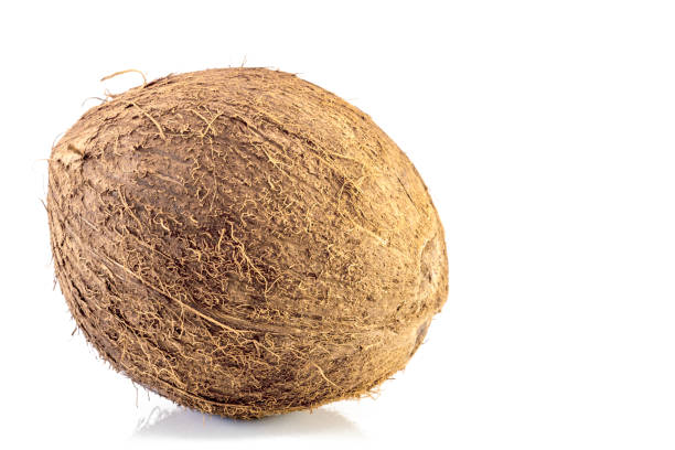 istock Tropical fruit coconut isolated on white background 893107758