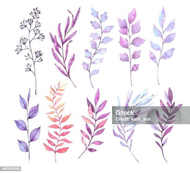 Hand Drawn Watercolor Illustrations Botanical Clipart Set Of Purple Leaves Herbs And Branches Floral Design Elements Perfect For Wedding Invitations Greeting Cards Blogs Posters And More Stock Illustration - Download Image Now