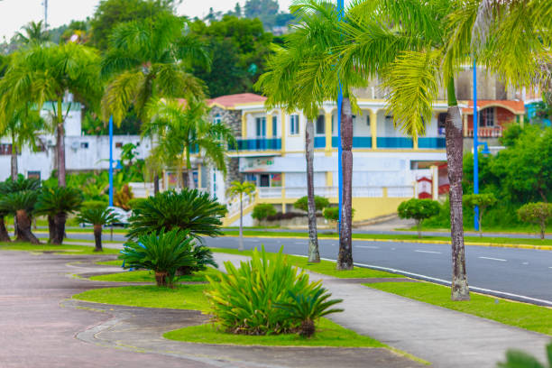istock green plants and road 893118384