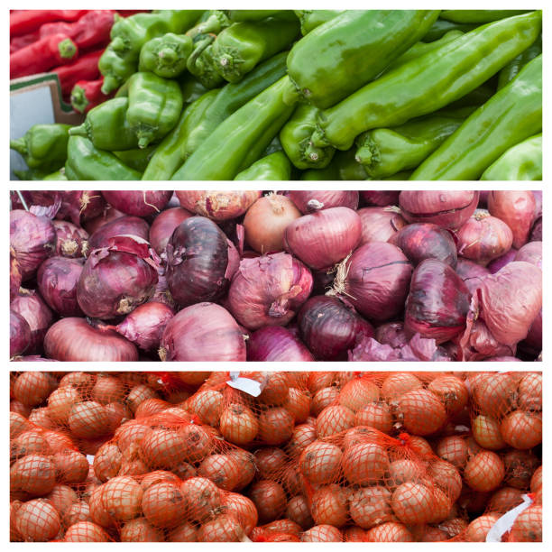 istock fresh vegetable at he market collage 893126656