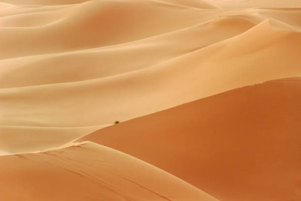 istock golden sand dune in sahara desert 893133132