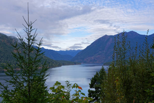 istock Lake Cushman, Washington 893135858