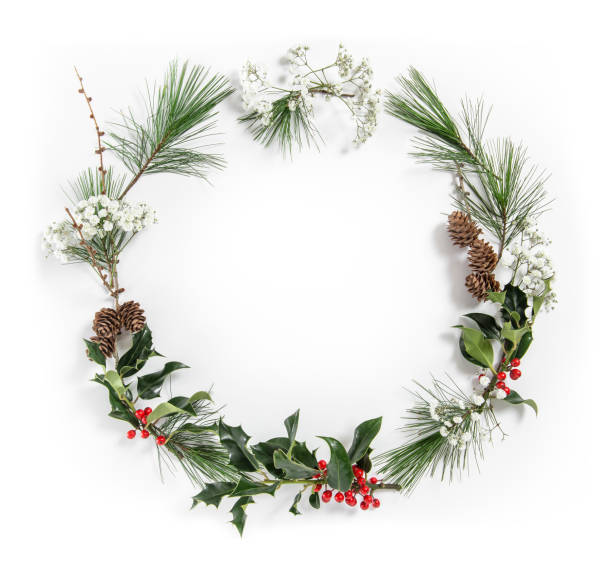 istock Christmas flat lay Wreath  pine tree branches ilex leaves 893136362