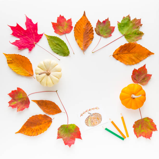 istock Autumn pattern composition of colorful leaves and pumpkins. 893143720