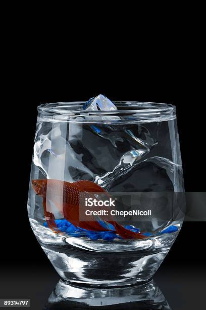 魚のオンザロックス - しずくのストックフォトや画像を多数ご用意 - しずく, カクテル, カップ