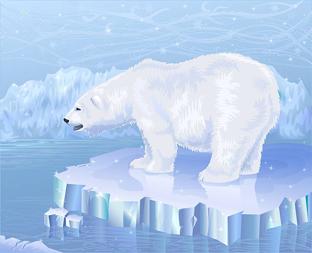 White polar bear standing on an ice floe vector art illustration