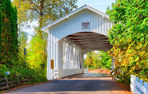 istock Oregon's Larwood Covered Bridge 893150540