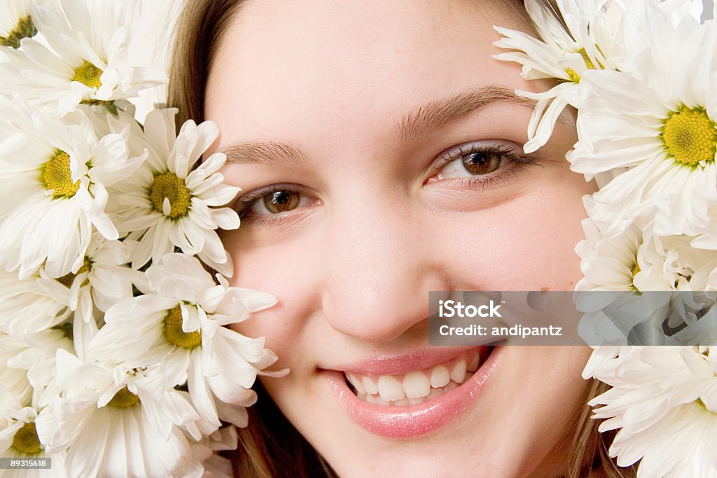 daisy Gesicht - Lizenzfrei Blume Stock-Foto