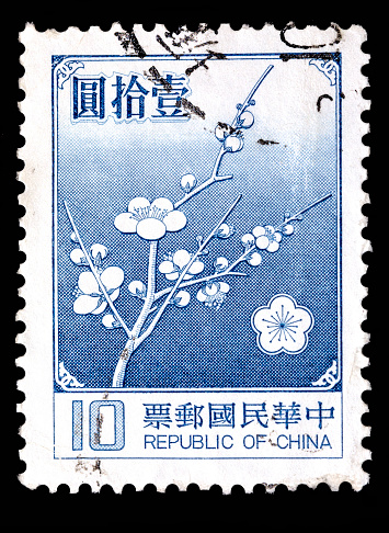 Blue  cherry tree flowers Republic of China 10 cent postage stamp on black background close-up