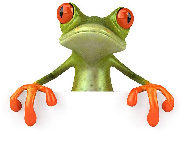istock Red eyed tree frog holding a blank sign 89316885